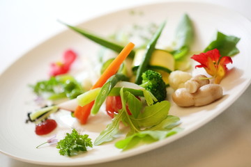 野菜畑のサラダ