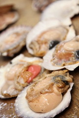 採れたての新鮮なホタテ