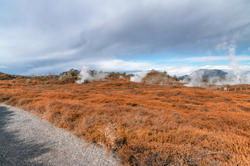 Craters of The Moon, landscape of beautiful geysers, Taupo - New Zealand