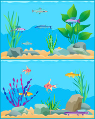 Fototapeta na wymiar Fish Underwater Scape Set Vector Illustration