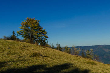Carpathian mountains in sunny day in the autumn season