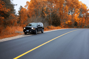 ON the way to Muskoka for the gold colours of Fall 