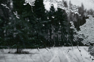 Rain drops on glass window, with background of forest