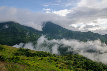 Fototapeta na wymiar View over the hills during summer thailand