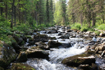 Mountain river. Gigalan
