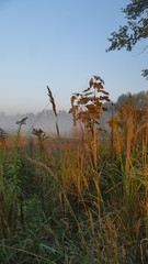 Wczesna jesień. Ranek, tuż po wschodzie słońca. Jesienne mgły na skraju lasu i polany.