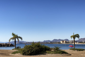 Fototapeta premium beach with palm trees