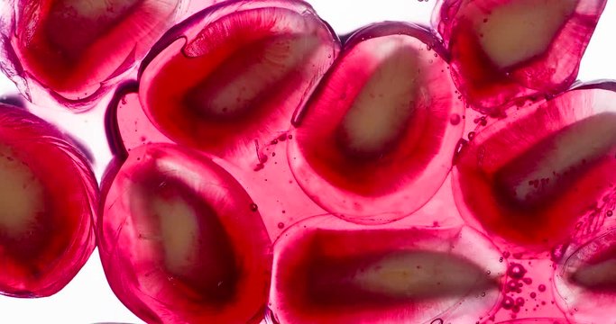 Crush a Lot of Garnet Fruit. Pomegranate seeds are compressed and crushed close-up on a bright white background, creating a juicy splash of pulp and juice. Shooting at 120 fps