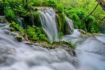 Fototapeta premium PLITVICE NATIONAL PARK, CROATIA - JUNE 8, 2018: Tourist group by the lake in the Plitvice Lakes National Park.