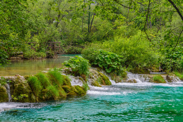 Obraz premium Park Narodowy Plitwickie, Chorwacja - 8 czerwca 2018: Grupa turystyczna nad jeziorem w Parku Narodowym Jezior Plitwickich.