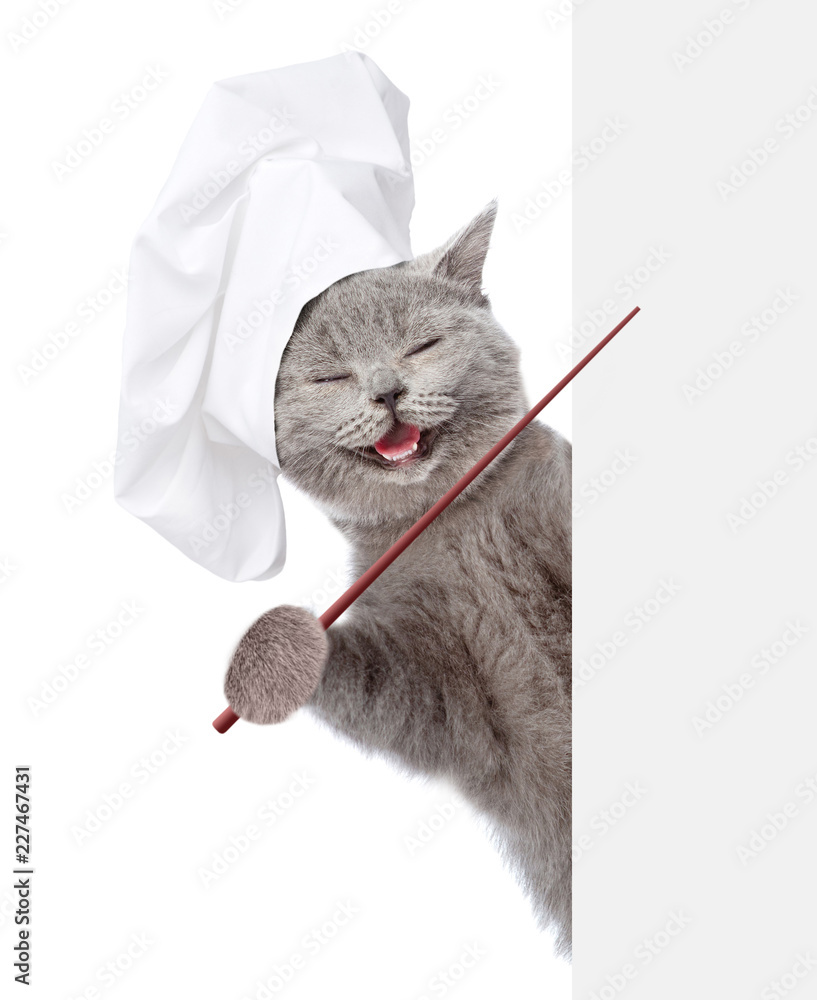 Poster Happy kitten in chef's hat holding a pointing stick and points on empty banner. isolated on white background