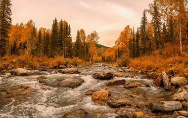 Autumn on the river. Altai. Kazakhstan.