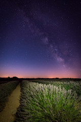 Stars, Milkyway and a lavender field blooming in Valensole, Provence France - Night Shot