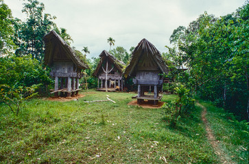Fototapeta na wymiar Traditionelle Ahnenhäuser (rumah adat oder Tongkonan) der Toraja auf Sulawesi