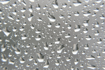 Drops of rain on the window