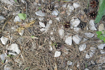 ground texture