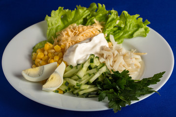 Squid salad and fresh vegetables on a plate isolated on blue