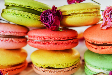 background of pastel colors macaroons and pink petals, close-up
