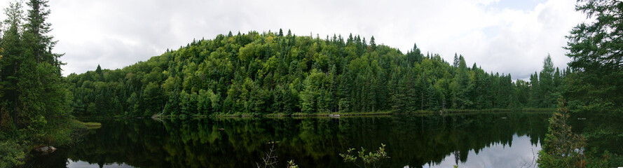 Fototapeta na wymiar Panorama von Wald vor tiefdunkelem See