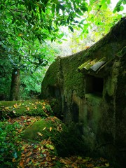  Casa en medio de la naturaleza cubierta de vegetación © JuanPablo