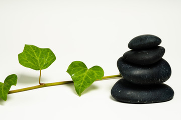 black massage stones and plants
