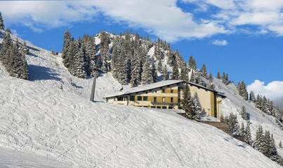 alpine hut with fir trees in winter in the mountains