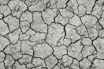 Cracked black earth parched earth close-up