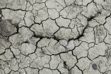 Cracked black earth parched earth close-up