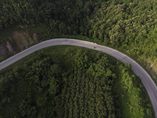 curve road and forest aerial view