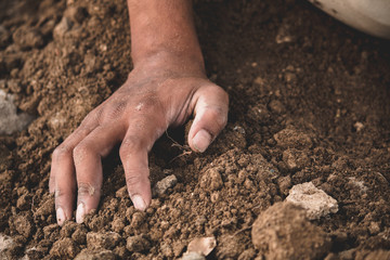 hands planting seeds in soil