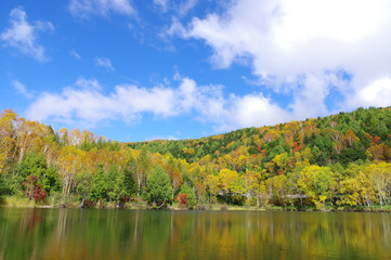 秋の志賀高原（木戸池）