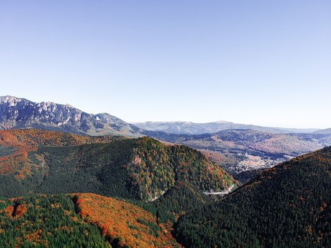 Cheia From Above