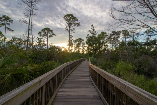 Boardwalk at sunset