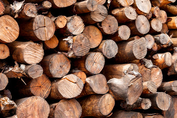 A stack of mangrove woods at charcoal factory