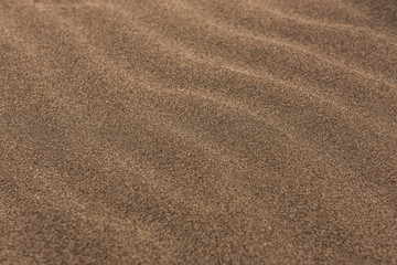 Fototapeta na wymiar Sand dunes background