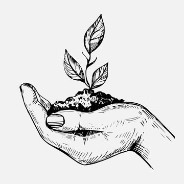 Hand hold plant. Hand drawn illustration converted to vector
