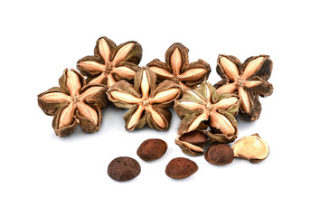 sacha inchi peanut seed on white background