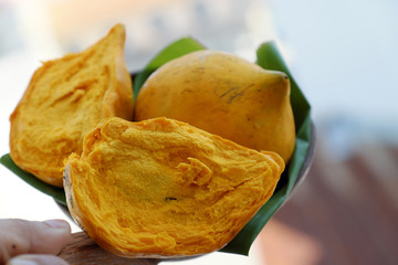 yellow canistel fruit