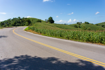 Naklejka premium Corn farm on hill with blue sky and sunset background