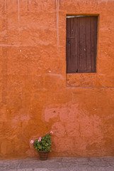 Fototapeta na wymiar Old orange wall with wooden door and pink flower