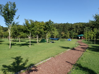 鹿公園キャンプ場