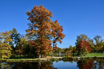 Park Stromovka, Prague, Czech Republic