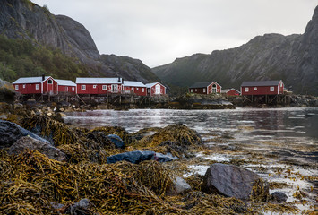 Traditional red fishermen houses on the coast of Nusfjord on a cloudy and sombre day. Lofoten, Norway.
