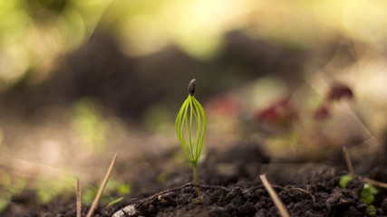 The very beginning of being 