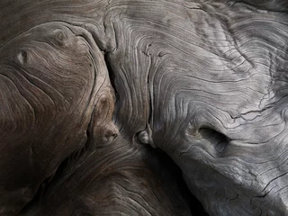 Fotobehang Alte baum skulptur auf der wiese. © Michael Kremer