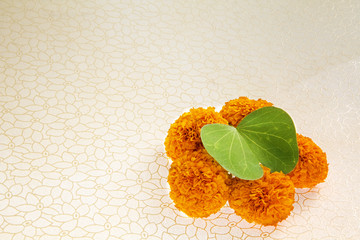 Dashera Festival apta leaf with marigold flower rangoli