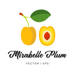 Yellow Mirabelle plum with leaf, pit and a stem, vector editable illustration. Flat simple style.