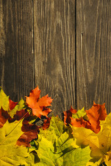 Textured vintage wooden background with autumn yellow leaves