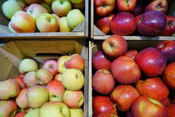 Crates of fresh heirloom apples at a farmers market