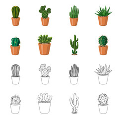 Vector design of cactus and pot icon. Collection of cactus and cacti vector icon for stock.